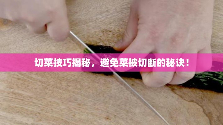 切菜技巧揭秘,避免菜被切断的秘诀!