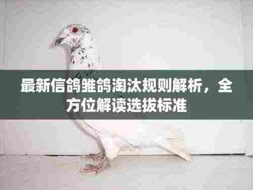 最新信鸽雏鸽淘汰规则解析,全方位解读选拔标准