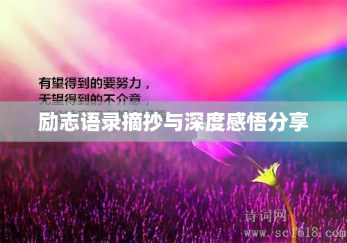 励志语录摘抄与深度感悟分享