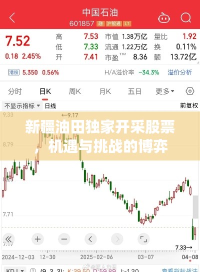 新疆油田独家开采股票,机遇与挑战的博弈