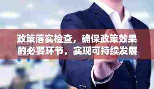 政策落实检查,确保政策效果的必要环节,实现可持续发展