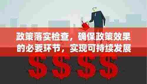 政策落实检查,确保政策效果的必要环节,实现可持续发展