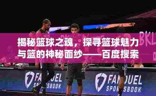 揭秘篮球之魂，探寻篮球魅力与篮的神秘面纱——百度搜索解析篮球奥秘