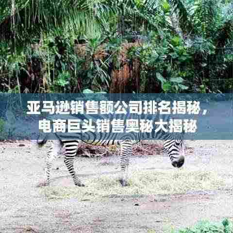 亚马逊销售额公司排名揭秘，电商巨头销售奥秘大揭秘