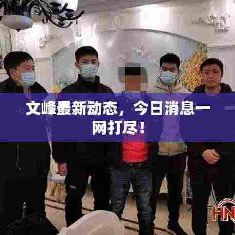 文峰最新动态,今日消息一网打尽!