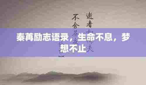 秦苒励志语录,生命不息,梦想不止