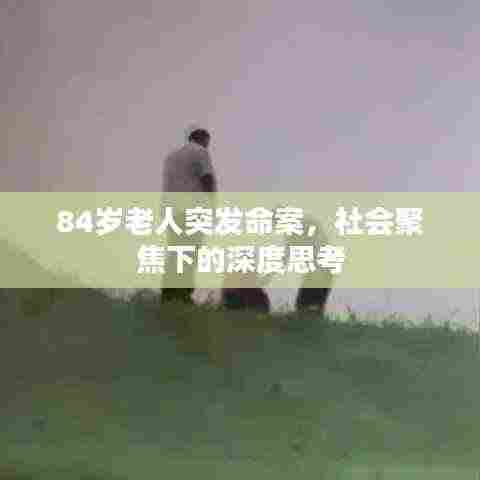 84岁老人突发命案,社会聚焦下的深度思考