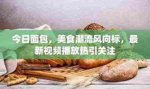 今日面包，美食潮流风向标，最新视频播放热引关注
