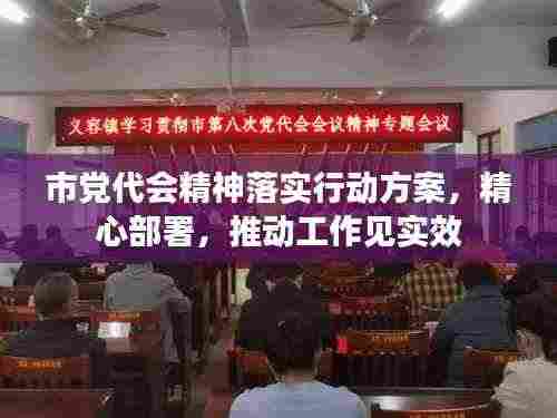 市党代会精神落实行动方案,精心部署,推动工作见实效