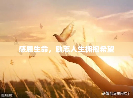 草草收兵 第2页