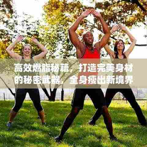 高效燃脂秘籍，打造完美身材的秘密武器，全身瘦出新境界！
