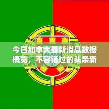 今日加拿大最新消息数据概览，不容错过的头条新闻！