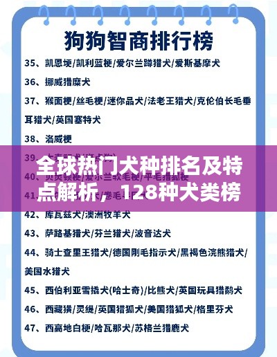全球热门犬种排名及特点解析，128种犬类榜单揭秘