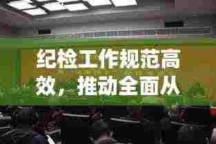 纪检工作规范高效,推动全面从严治党纵深发展,打造清廉新时代
