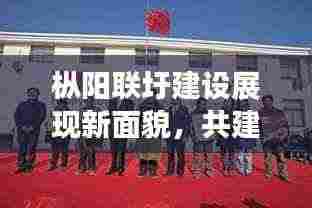 枞阳联圩建设展现新面貌,共建美好家园,新闻头条报道