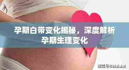 孕期白带变化揭秘,深度解析孕期生理变化