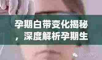 孕期白带变化揭秘,深度解析孕期生理变化