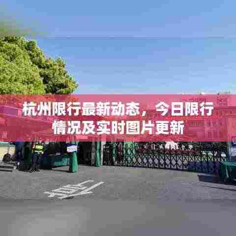 杭州限行最新动态,今日限行情况及实时图片更新