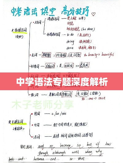 中学语法专题深度解析