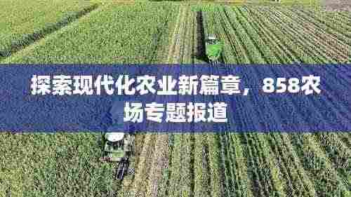 探索现代化农业新篇章,858农场专题报道