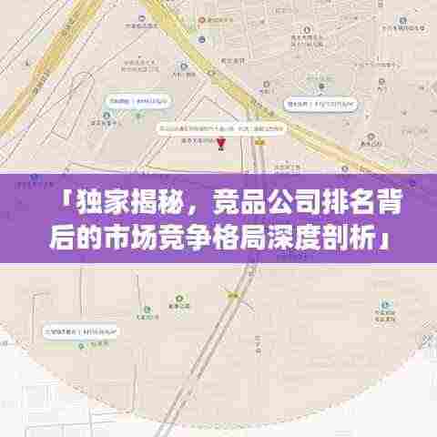 「独家揭秘,竞品公司排名背后的市场竞争格局深度剖析」