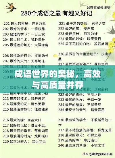 成语世界的奥秘,高效与高质量并存