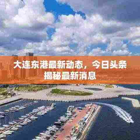 大连东港最新动态,今日头条揭秘最新消息