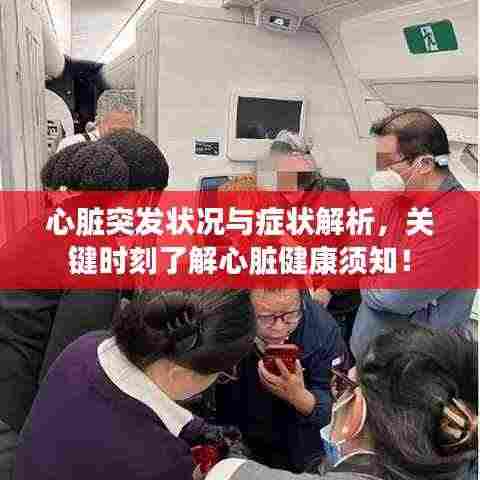 心脏突发状况与症状解析,关键时刻了解心脏健康须知!