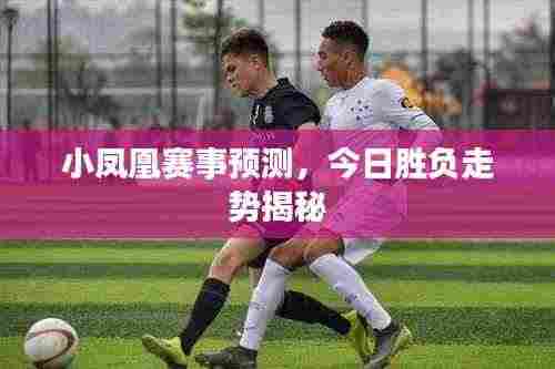 小凤凰赛事预测,今日胜负走势揭秘