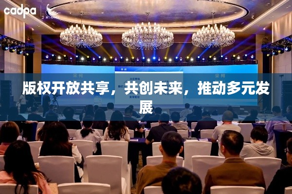 版权开放共享,共创未来,推动多元发展