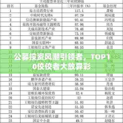 公募投资风潮引领者，TOP10佼佼者大放异彩