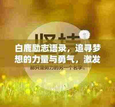白鹿励志语录,追寻梦想的力量与勇气,激发无限潜能!
