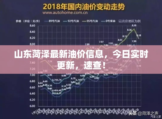 山东菏泽最新油价信息,今日实时更新,速查!