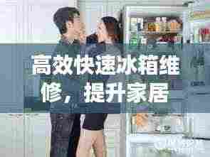 高效快速冰箱维修,提升家居生活品质的必备技能