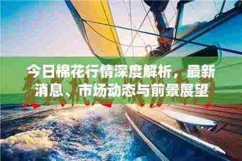 今日棉花行情深度解析,最新消息、市场动态与前景展望