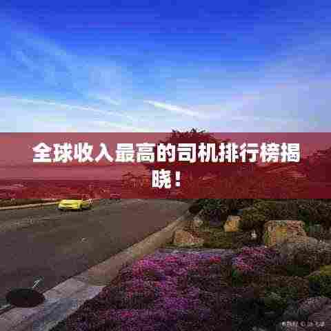 全球收入最高的司机排行榜揭晓!